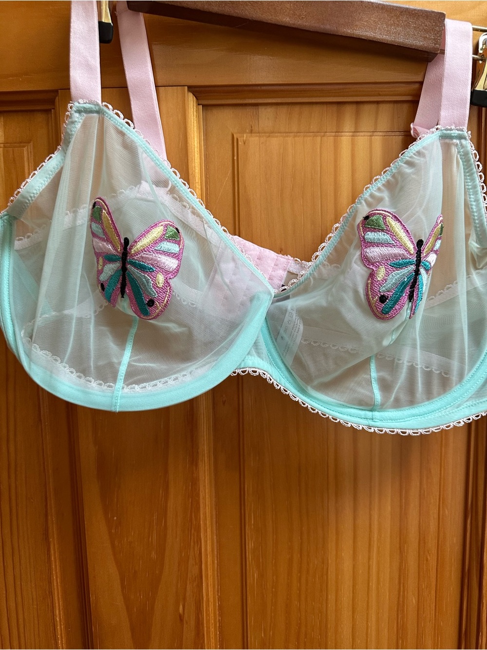 Adore Me Mint and Pink Sheer Butterfly Embroidered Underwire Bra